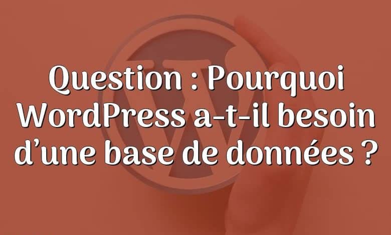 Question : Pourquoi WordPress a-t-il besoin d’une base de données ?